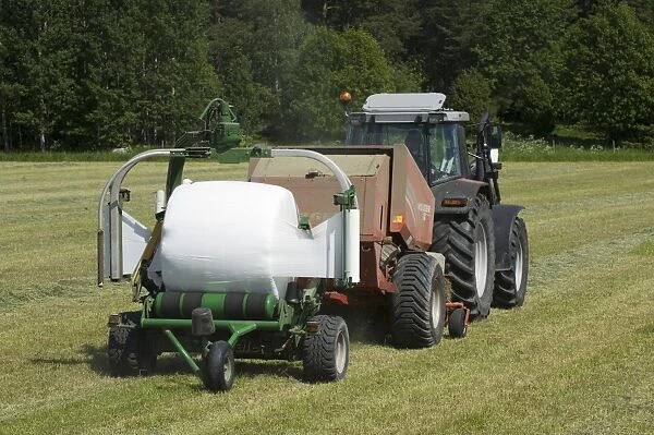 Tractor pulling baler and mechanical bale-wrapper, with plastic wrapped round silage bale, Sweden