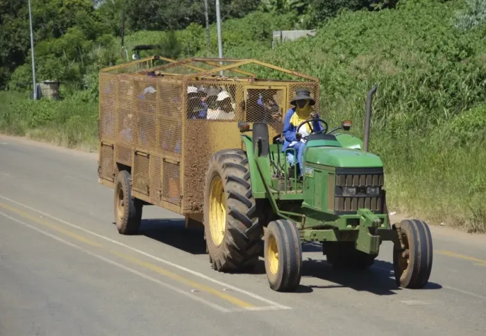Framed Print : Tractor transporting farm workers in trailer, Swaziland Framed Print : Tractor transporting farm workers in trailer, Swaziland