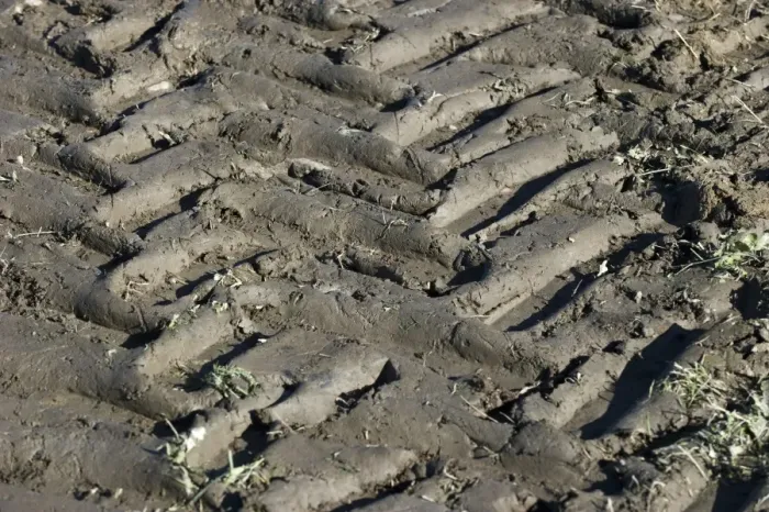 Framed Print : Tractor tyre tracks in muddy field, Sweden, september Framed Print : Tractor tyre tracks in muddy field, Sweden, september