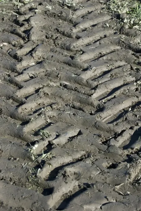 Framed Print : Tractor tyre tracks in muddy field, Sweden, september Framed Print : Tractor tyre tracks in muddy field, Sweden, september