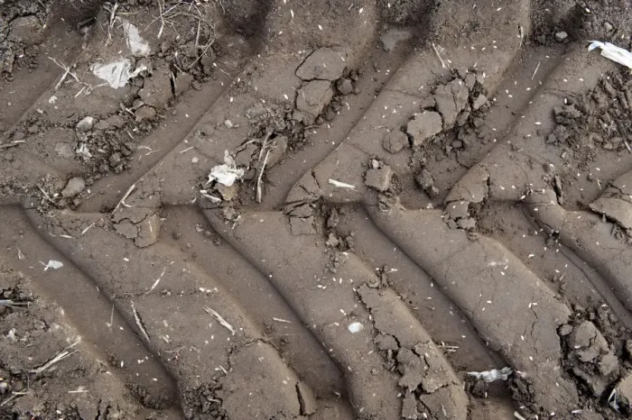 Framed Print : Tractor tyre tracks in soft soil, England, september Framed Print : Tractor tyre tracks in soft soil, England, september