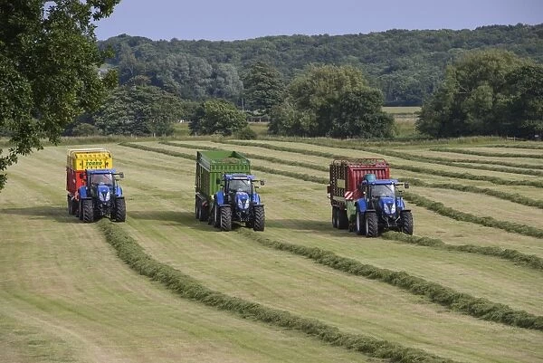 Three tractors with forage wagons picking up mowed grass, Grimsargh, Preston, Lancashire, England, July