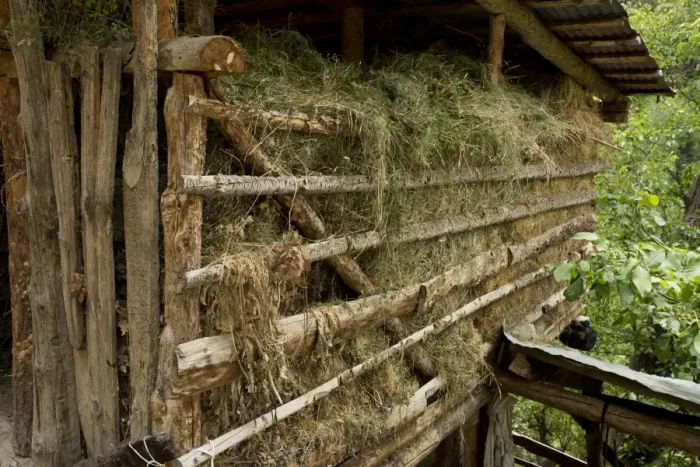 Framed Print : Traditional hay barn in village, Yayla, above Barhal, Pontic Mountains, Anatolia, Turkey, July Framed Print : Traditional hay barn in village, Yayla, above Barhal, Pontic Mountains, Anatolia, Turkey, July