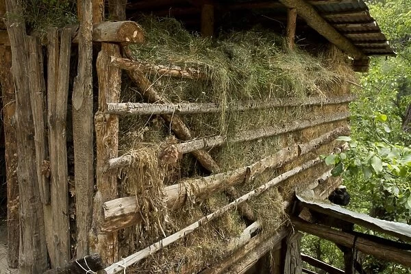 Traditional hay barn in village, Yayla, above Barhal, Pontic Mountains, Anatolia, Turkey, July