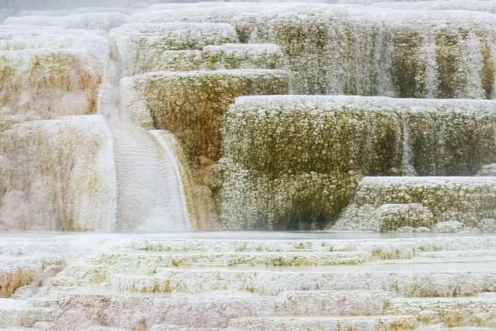 Framed Print : Travertine terraces at hotspring, Palette Spring, Mammoth Hot Springs, Yellowstone N. P. Wyoming, U. S. A. September