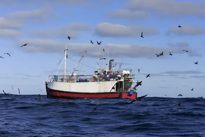 Framed Print : Trawler fishing at sea, being followed by seabirds, including albatrosses, petrels and skuas, Cape of Good Hope