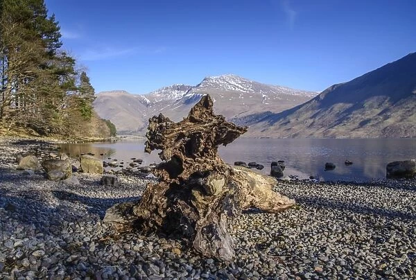 Tree stump on shore of lake in over-deepened glacial valley, deepest lake in England at 79 metres (258 feet)
