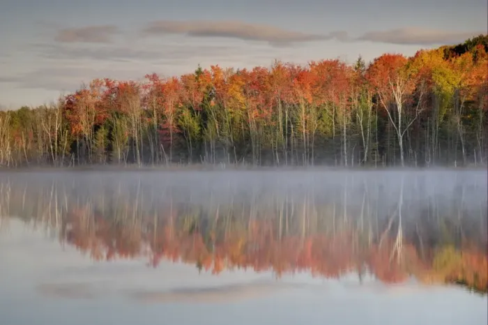 Framed Print : Trees in autumn colours reflected in lake, Red Jack Lake, Upper Peninsula, Michigan, U. S. A. october Framed Print : Trees in autumn colours reflected in lake, Red Jack Lake, Upper Peninsula, Michigan, U. S. A. october