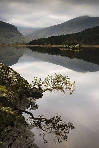 Trees and mountains reflected in lake, Cummeenduff Lake, Black Valley, Macgillycuddys Reeks, Killarney, County Kerry