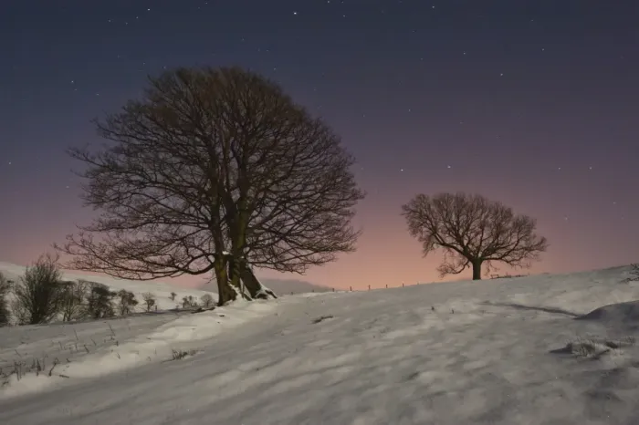 Framed Print : Trees and snow by moonlight at night, Dinkling Green Farm, Whitewell, Clitheroe, Lancashire, England, february