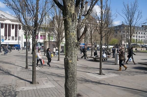 Trees in urban environment, Manchester City Centre, Greater Manchester, England, april