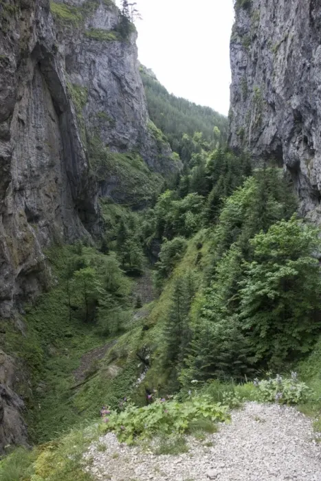Framed Print : Trigrad Gorge nesting habitat of the Wallcreeper - Bulgaria Framed Print : Trigrad Gorge nesting habitat of the Wallcreeper - Bulgaria