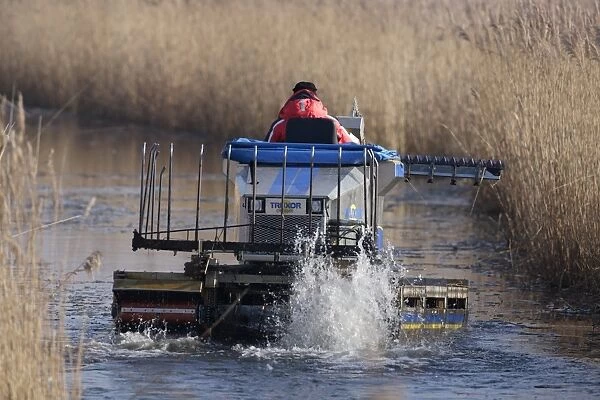 Truxor DM 5000 amphibious machine, controlling reedbed growth by cutting reeds back to keep water channels clear