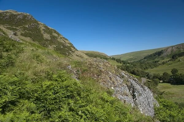 Upland habitat with hills covered in bracken, Elan Valley, Powys, Wales, July