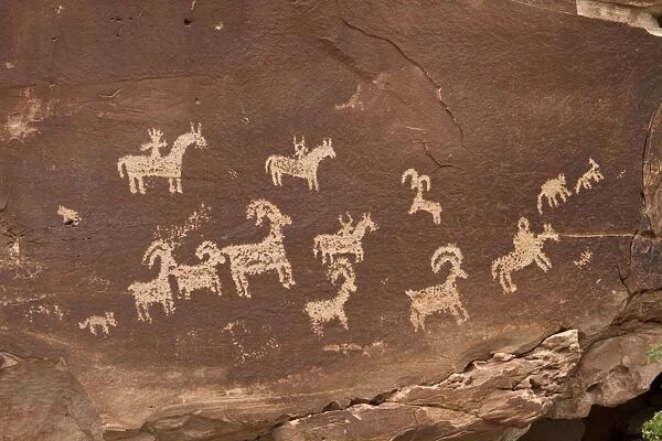 Ute Rock Art, Native American petroglyphs in sandstone rock, showing stylized horse