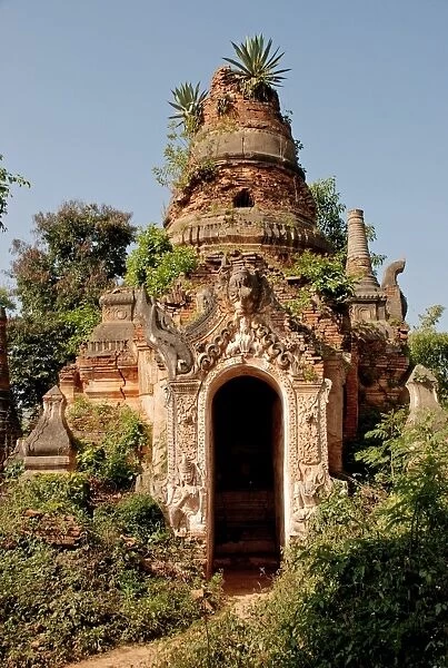 Vegetation growing from ruined stupa, Inthein, Shan State, Myanmar, January