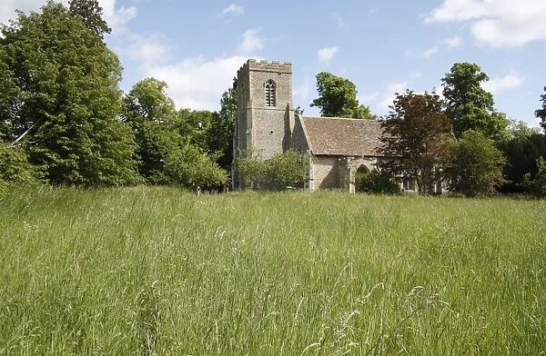 View of 14th Century church beside long grass of meadow, St. Nicholas Church, Thelnetham, Suffolk, England, may