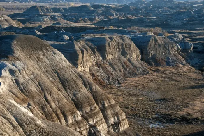 Framed Print : View of badlands habitat, Dinosaur Provincial Park, Alberta, Canada, october Framed Print : View of badlands habitat, Dinosaur Provincial Park, Alberta, Canada, october