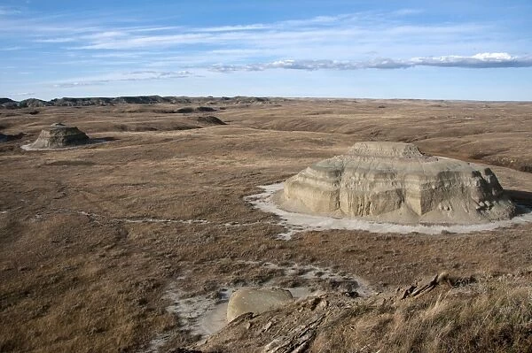View of badlands in shortgrass prairie habitat, East Bloc, Grasslands N. P. Southern Saskatchewan, Canada, october
