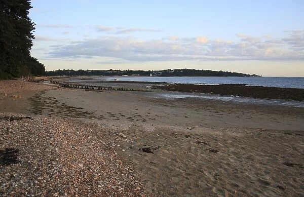 View of beach with incoming tide at dawn, Bembridge, Isle of Wight, England, june