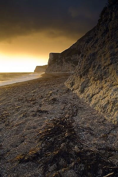 View of beach and limestone sea cliffs at sunset, looking west towards Weymouth, Durdle Door Beach, Dorset, England