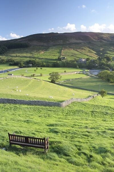 View of bench, drystone walls and sheep grazing in pasture of valley, Burnsall, Wharfedale, Yorkshire Dales N. P
