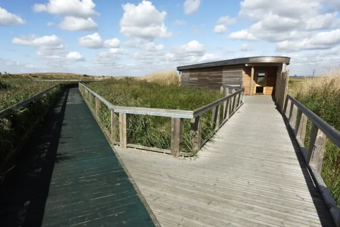 Framed Print : View of boardwalk and birdwatching hide in marshland habitat, Rainham Marshes RSPB Reserve, Thames Estuary, Essex Framed Print : View of boardwalk and birdwatching hide in marshland habitat, Rainham Marshes RSPB Reserve, Thames Estuary, Essex