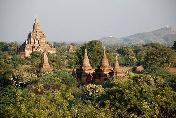 View of Buddhist temples, Bagan, Mandalay Region, Myanmar, January