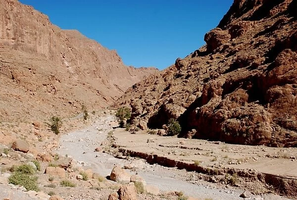 View of canyon with dry riverbed, Todgha Gorge, High Atlas Mountains, Morocco, February