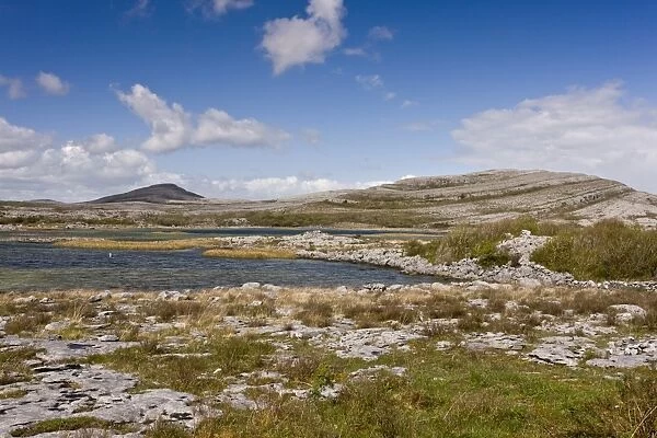 View of carboniferous limestone landscape around lough, Lough Geallain, Mullagh More, Burren N. P