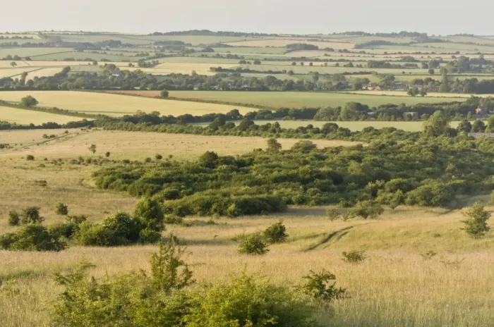 Framed Print : View of chalk downland habitat, looking north from chalk scarp, Martin Down National Nature Reserve, Hampshire Framed Print : View of chalk downland habitat, looking north from chalk scarp, Martin Down National Nature Reserve, Hampshire