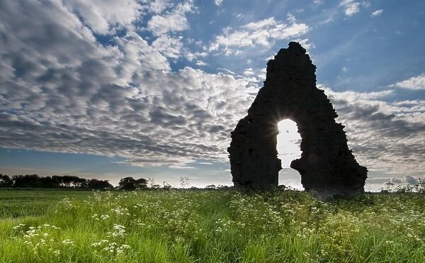 View of church ruins, Midley Church, Romney Marsh, Kent, England, May
