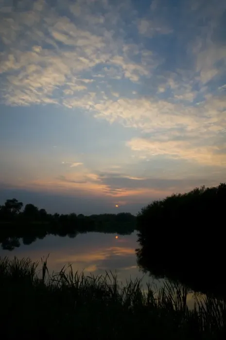 Framed Print : View of cirrocumulus clouds over flooded former gravel pit habitat at sunset, Priory Water Nature Reserve Framed Print : View of cirrocumulus clouds over flooded former gravel pit habitat at sunset, Priory Water Nature Reserve