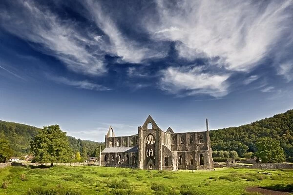View of Cistercian abbey ruins, Tintern Abbey, Tintern, Wye Valley, Monmouthshire, Wales, august