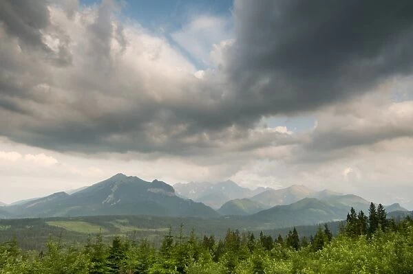 View of clouds over coniferous montane forest habitat at sunset, Tatra Mountains, Western Carpathians, Poland, June