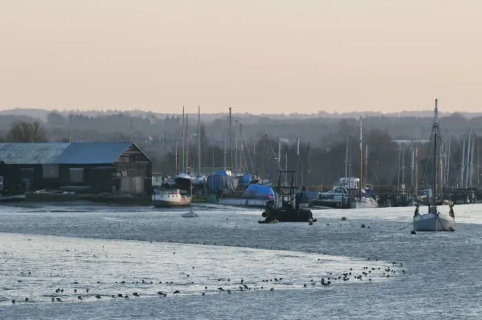 Framed Print : View of coastal creek with boats and feeding waders at sunset, Oare Creek, Oare, Faversham, North Kent, England