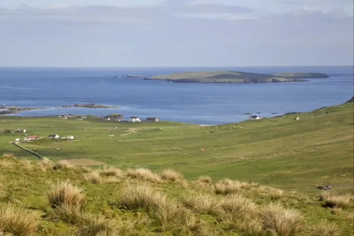 Framed Print : View of coastal pasture and island, Mousa Island, from above South Voxter, Shetland Islands, Scotland, june Framed Print : View of coastal pasture and island, Mousa Island, from above South Voxter, Shetland Islands, Scotland, june