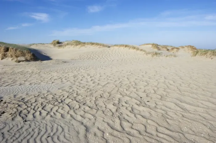 Framed Print : View of coastal sand dunes habitat, Romo, Wadden Sea Islands, Denmark, may Framed Print : View of coastal sand dunes habitat, Romo, Wadden Sea Islands, Denmark, may