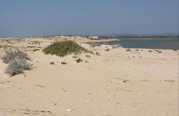 View from coastal sandspit over estuary with fishing village, Ria Formosa N. P. Algarve, Portugal, april