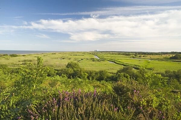 View of coastal wetland habitat from Dunwich, with Sizewell nuclear power station in distance, Minsmere RSPB Reserve