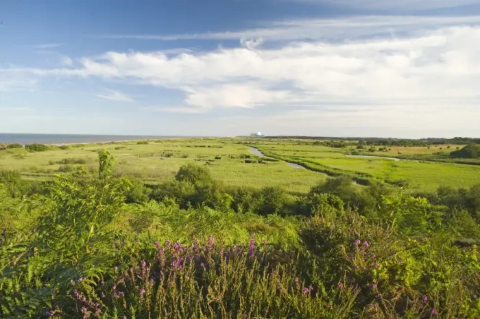 Framed Print : View of coastal wetland habitat from Dunwich, with Sizewell nuclear power station in distance, Minsmere RSPB Reserve