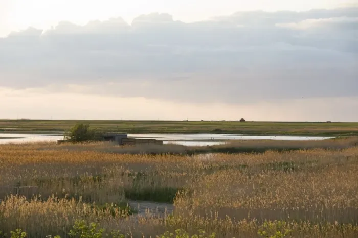 Framed Print : View of coastal wetland habitat, with reedbed and Bishop Hide overlooking scrape, Cley Marshes Nature Reserve