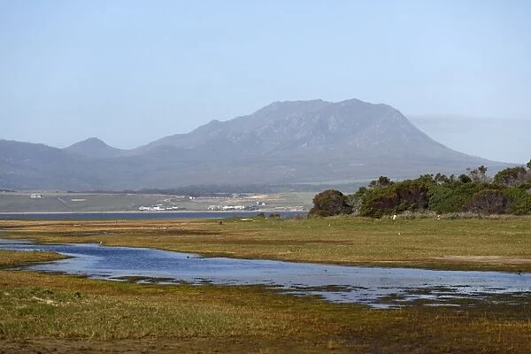 View of coastal wetland and lagoon, Botrivier Vlei, near Kleinmond, Overberg, Western Cape, South Africa, September