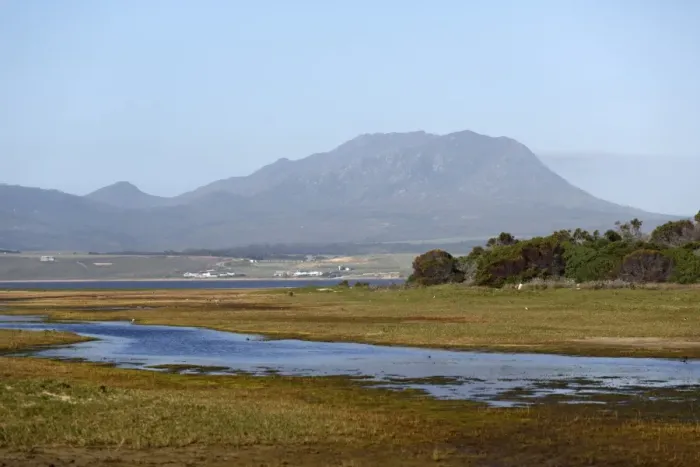 Framed Print : View of coastal wetland and lagoon, Botrivier Vlei, near Kleinmond, Overberg, Western Cape, South Africa, September Framed Print : View of coastal wetland and lagoon, Botrivier Vlei, near Kleinmond, Overberg, Western Cape, South Africa, September