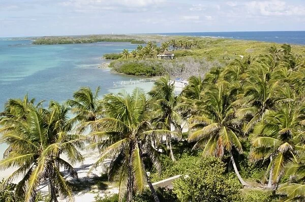 View of coastline, beach and palm trees, Isla Contoy N. P. Quintana Roo, Mexico, January