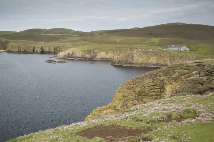 Framed Print : View of coastline and cliffs, Fair Isle, Shetland Islands, Scotland, June Framed Print : View of coastline and cliffs, Fair Isle, Shetland Islands, Scotland, June