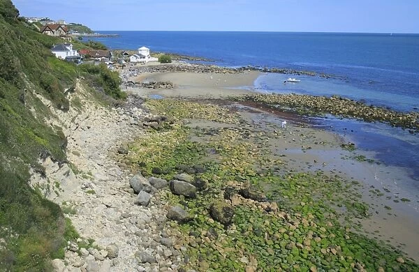 View of coastline and hamlet near seaside town, Steephill Cove, Steephill, Ventnor, Isle of Wight, England, july