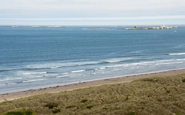 View of coastline with sand dunes and beach, looking towards distant Farne Islands, Bamburgh, Northumberland, England