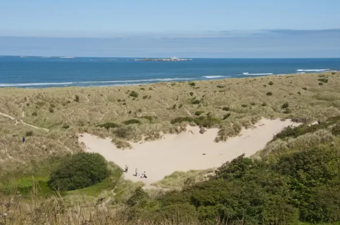 Framed Print : View of coastline with sand dunes, looking towards distant Farne Islands, Bamburgh, Northumberland, England, july Framed Print : View of coastline with sand dunes, looking towards distant Farne Islands, Bamburgh, Northumberland, England, july