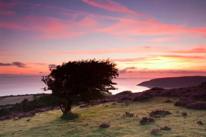 Framed Print : View of coastline at sunrise, with Porlock Bay and pebble ridge just visible in distance, Hurlstone Point